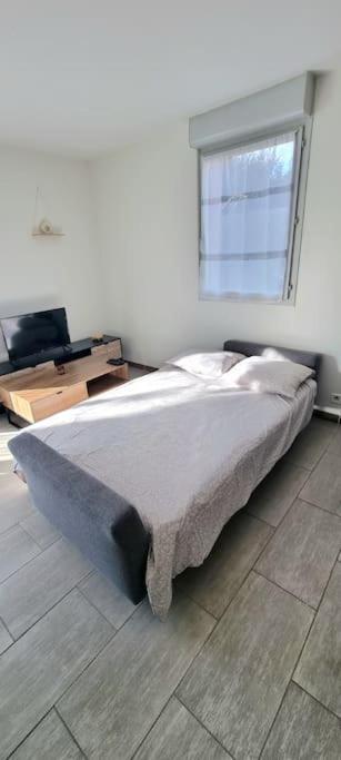 Ferienwohnung T2 Pool & Terrasse - Parking - Metro - Wifi Toulouse Exterior foto